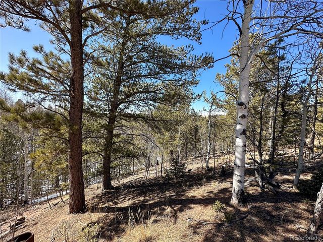 1601 May Queen Drive, Cripple Creek, CO 80813