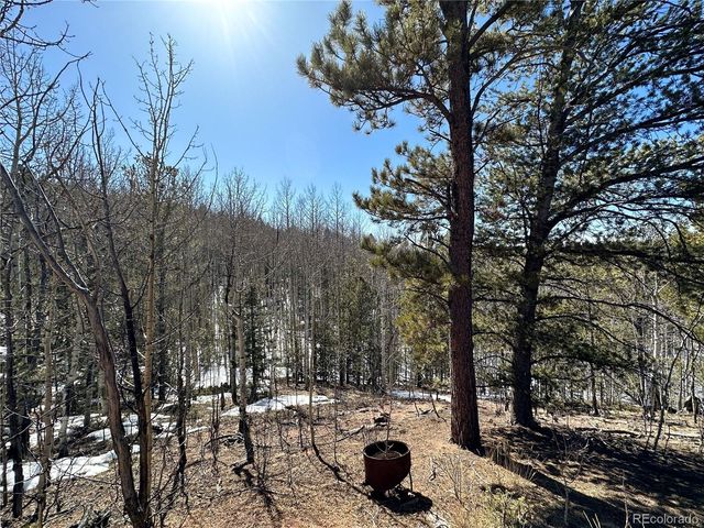 1601 May Queen Drive, Cripple Creek, CO 80813