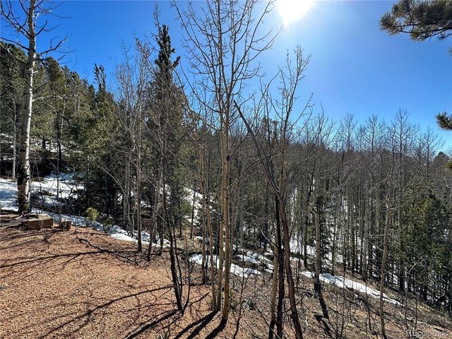 1601 May Queen Drive, Cripple Creek, CO 80813
