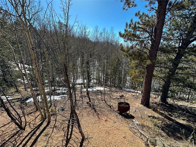 1601 May Queen Drive, Cripple Creek, CO 80813