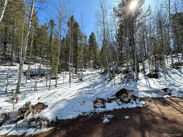 1601 May Queen Drive, Cripple Creek, CO 80813