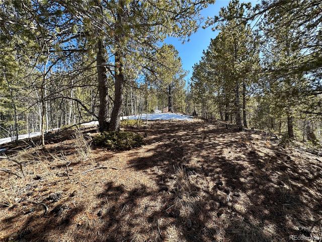 1601 May Queen Drive, Cripple Creek, CO 80813