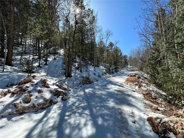 1601 May Queen Drive, Cripple Creek, CO 80813