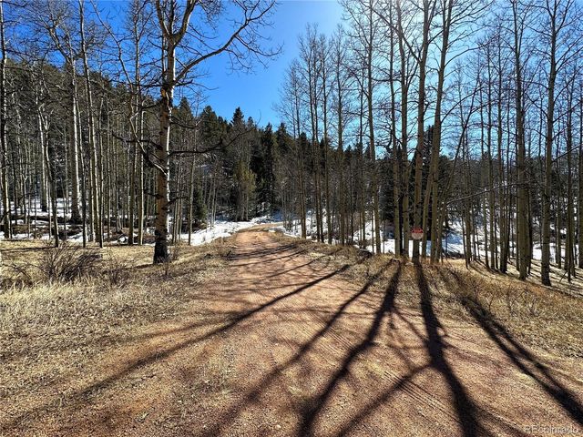1601 May Queen Drive, Cripple Creek, CO 80813
