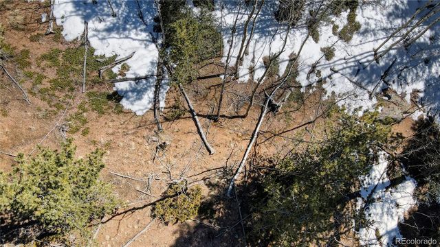 1601 May Queen Drive, Cripple Creek, CO 80813