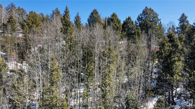 1601 May Queen Drive, Cripple Creek, CO 80813