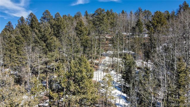 1601 May Queen Drive, Cripple Creek, CO 80813