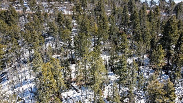 1601 May Queen Drive, Cripple Creek, CO 80813