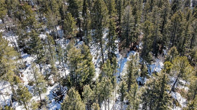 1601 May Queen Drive, Cripple Creek, CO 80813