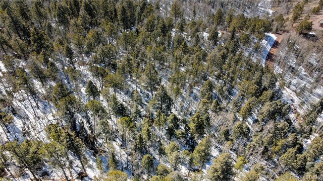 1601 May Queen Drive, Cripple Creek, CO 80813