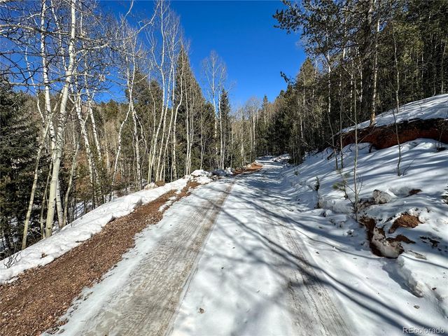 1601 May Queen Drive, Cripple Creek, CO 80813