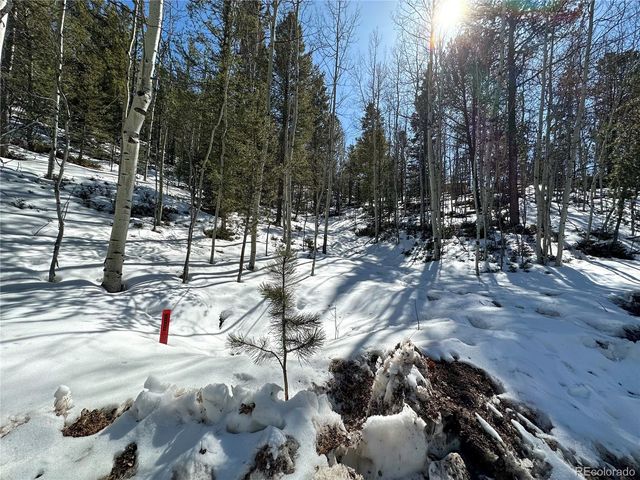 1601 May Queen Drive, Cripple Creek, CO 80813