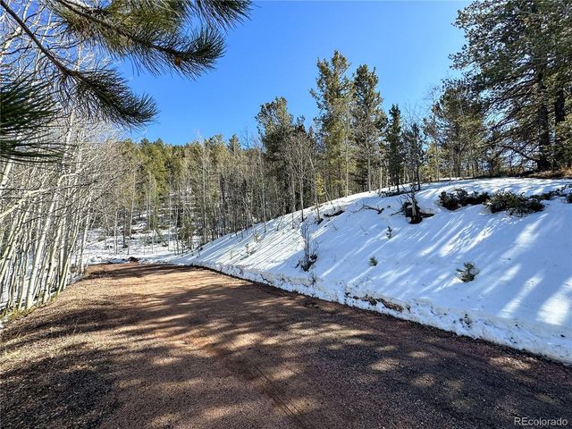 1601 May Queen Drive, Cripple Creek, CO 80813