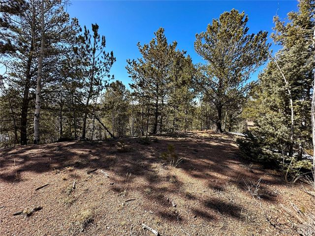 1601 May Queen Drive, Cripple Creek, CO 80813