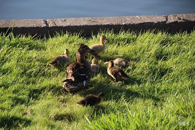 9636 Lakewood Dr, Windsor, CA 95492