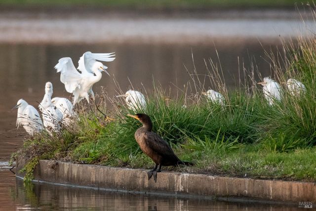 9636 Lakewood Dr, Windsor, CA 95492