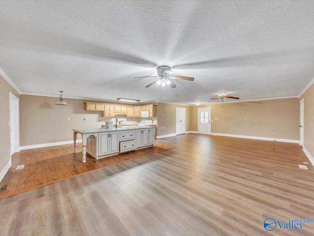 1046 Susan Drive, Fort Payne, AL 35967