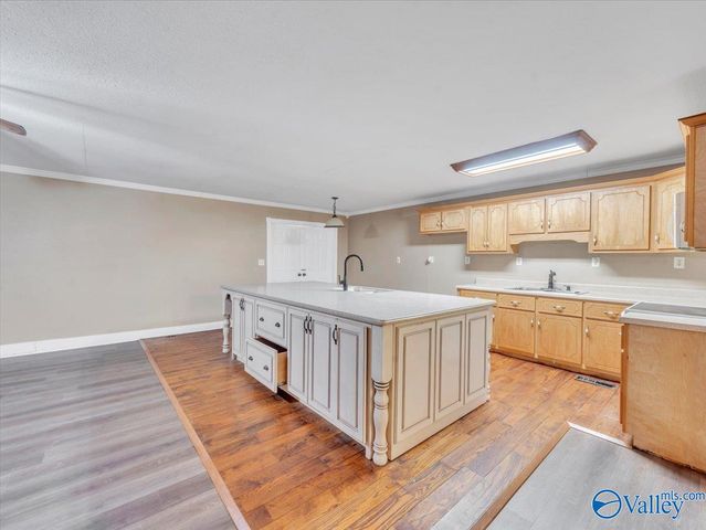 1046 Susan Drive, Fort Payne, AL 35967