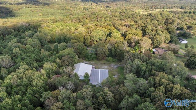 1046 Susan Drive, Fort Payne, AL 35967