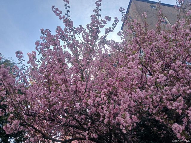 151 Centre 6F, New Rochelle, NY 10805