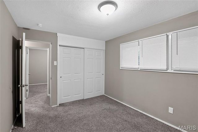 6619 Graybirch Drive, St Louis, MO 63134