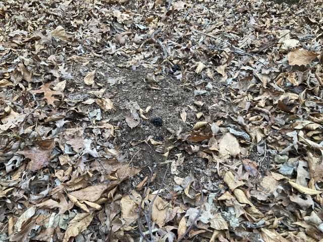 366 Ridge Rd, Westpoint, TN 38486