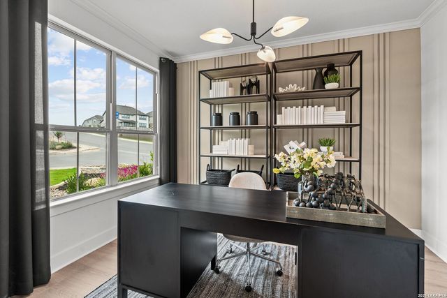 1426 KNIPPA, San Antonio, TX 78253