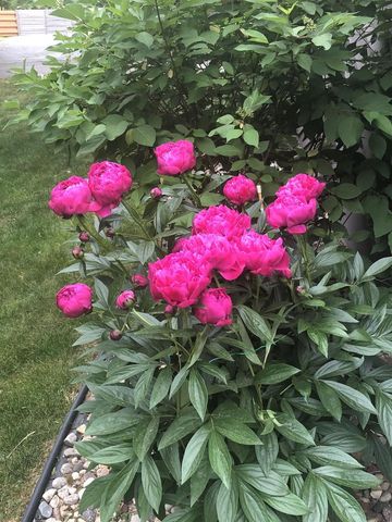 841 E WINDFIELD PLACE, Appleton, WI 54911