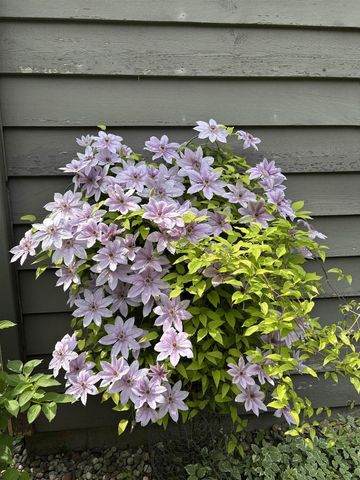 841 E WINDFIELD PLACE, Appleton, WI 54911