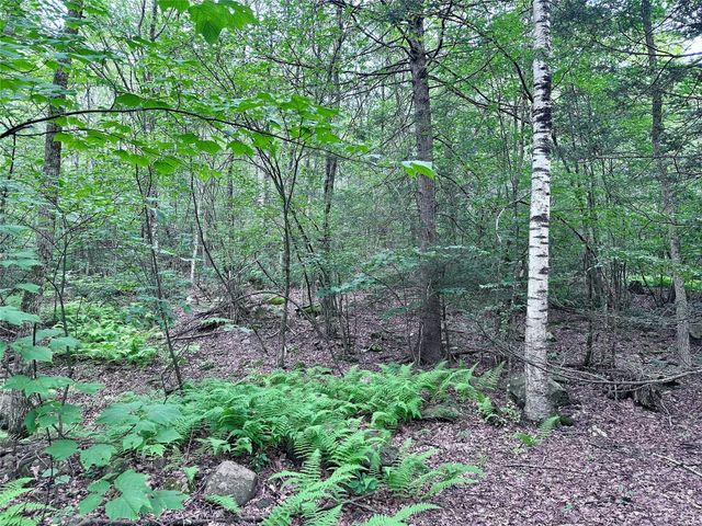 TBD Upper Cherrytown, Kerhonkson, NY 12446