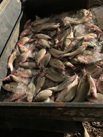 2102 Private Road 1377, Lampasas, TX 76550