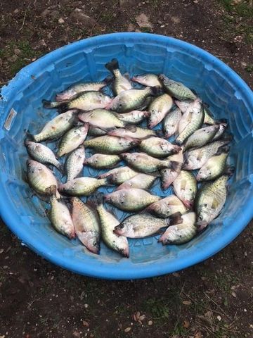 2102 Private Road 1377, Lampasas, TX 76550