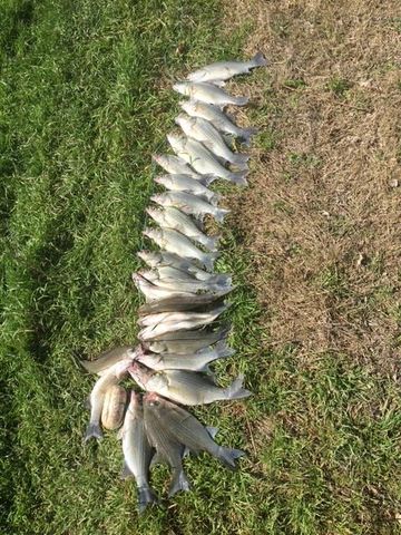 2102 Private Road 1377, Lampasas, TX 76550