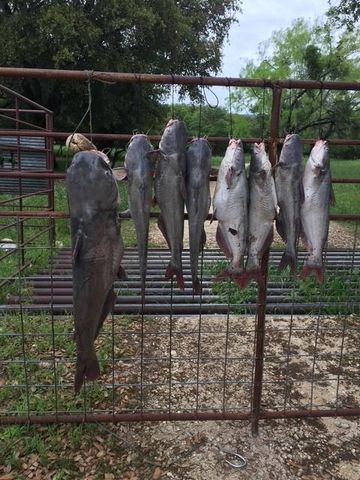 2102 Private Road 1377, Lampasas, TX 76550