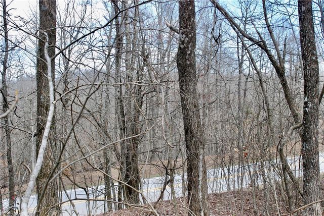 TBD AR-16, Pettigrew, AR 72752