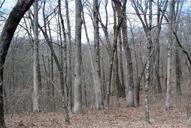 TBD AR-16, Pettigrew, AR 72752