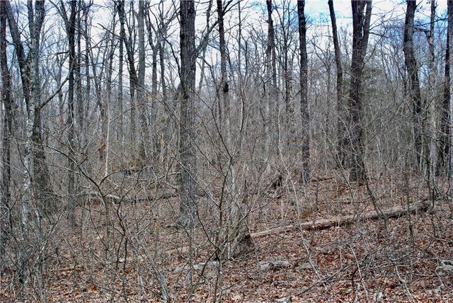 TBD AR-16, Pettigrew, AR 72752