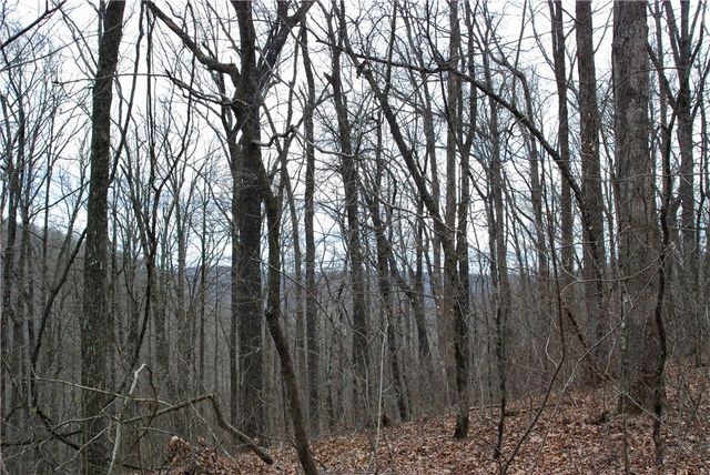 TBD AR-16, Pettigrew, AR 72752