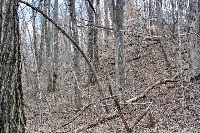 TBD AR-16, Pettigrew, AR 72752