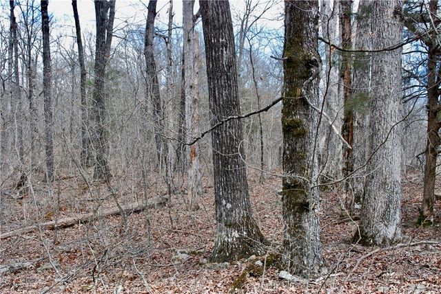 TBD AR-16, Pettigrew, AR 72752