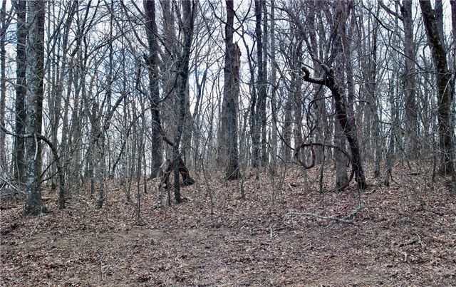 TBD AR-16, Pettigrew, AR 72752