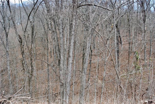 TBD AR-16, Pettigrew, AR 72752