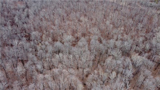 TBD AR-16, Pettigrew, AR 72752