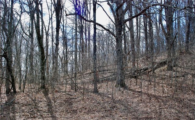 TBD AR-16, Pettigrew, AR 72752