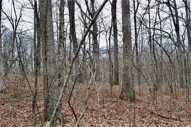 TBD AR-16, Pettigrew, AR 72752