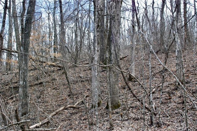 TBD AR-16, Pettigrew, AR 72752