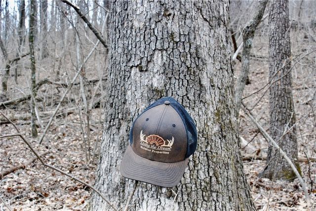 TBD AR-16, Pettigrew, AR 72752