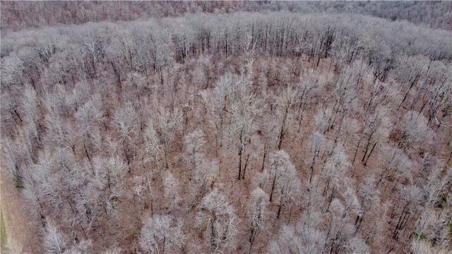 TBD AR-16, Pettigrew, AR 72752