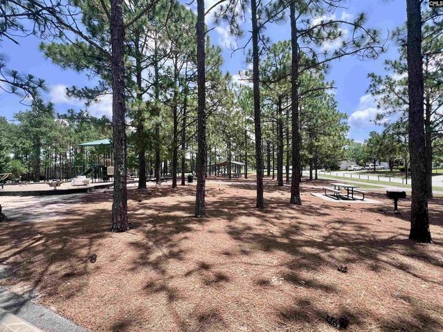 216 Elders Pond Drive, Columbia, SC 29229