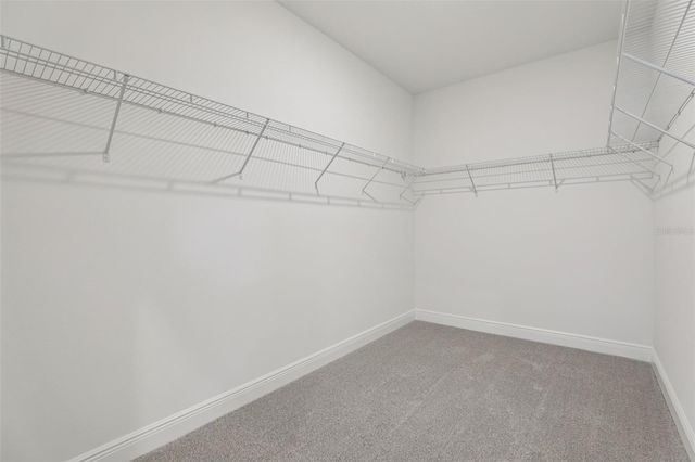 2146 WILDBERRY WAY, Minneola, FL 34715